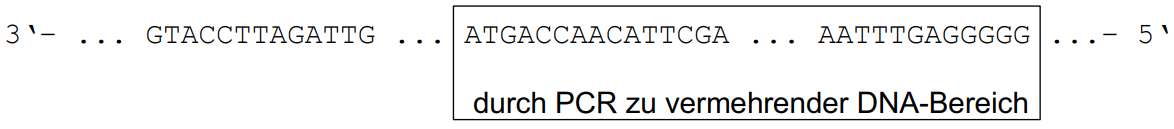 DNA-Sequenz mit markiertem Bereich zur PCR-Vermehrung